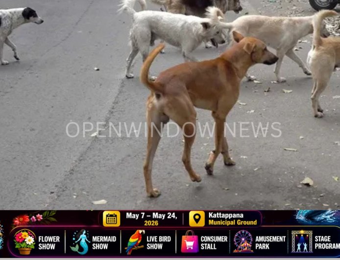 മനുഷ്യ ജീവന് ഭീഷണിയാകുന്ന നായ്ക്കളെ കൊല്ലാം; നിർണായക ഉത്തരവുമായി സുപ്രീം കോടതി