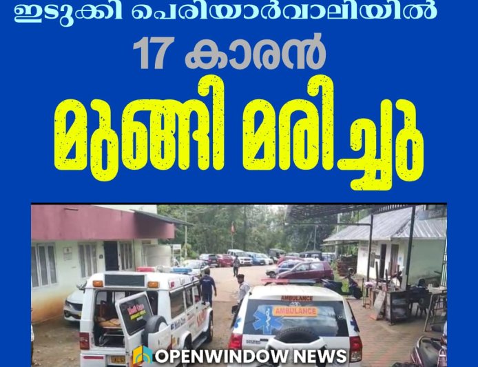 സഹോദരനൊപ്പം മീൻ പിടിക്കാൻ ഇറങ്ങി; ഇടുക്കി പെരിയാർവാലിയിൽ 17 കാരൻ മുങ്ങി മരിച്ചു