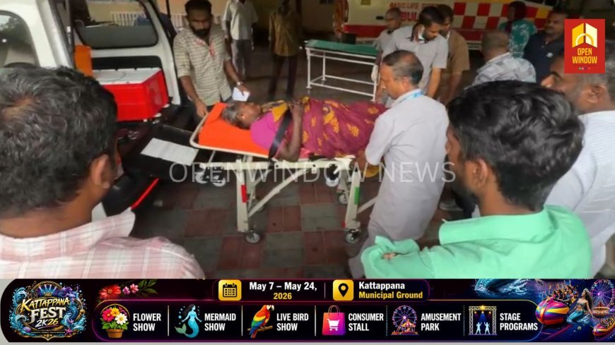 ഇടുക്കി ചിന്നക്കനാൽ  പെരിയകനാലിൽ വാഹനാപകടം; ഒരാൾ മരിച്ചു