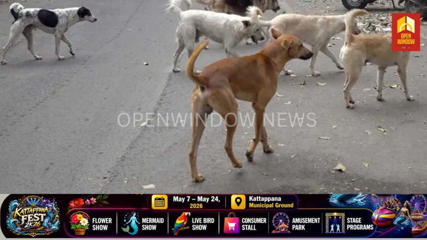 മനുഷ്യ ജീവന് ഭീഷണിയാകുന്ന നായ്ക്കളെ കൊല്ലാം; നിർണായക ഉത്തരവുമായി സുപ്രീം കോടതി