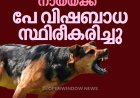 പീരുമേട്ടിൽ 19 പേരെ കടിച്ച തെരുവ് നായക്ക് പേ വിഷബാധ സ്ഥിരീകരിച്ചു