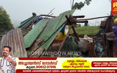 മൂന്നാറില്‍ സര്‍ക്കാര്‍ ഭൂമി കയ്യേറി സ്ഥാപിച്ച ഷെഡ്ഡുകള്‍ പൊളിച്ചു നീക്കി. ദേവികുളം സബ് കളക്ടറുടെ നിര്‍ദ്ദേശത്തെ തുടര്‍ന്ന് ഇരുപതിലധികം ഷെഡ്ഡുകള്‍ ആണ് പൊളിച്ച് നിക്കിയത്.