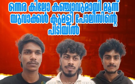 ഓപ്പറേഷന്‍ തൂഫാന്‍; ഒന്നര കിലോ കഞ്ചാവുമായി മൂന്ന് യുവാക്കള്‍ കുമളി പോലീസിന്റെ പിടിയില്‍.