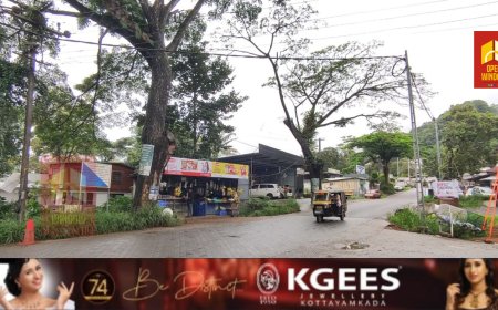 കട്ടപ്പന പാറക്കടവ് ജംഗ്ഷനിൽ സ്ഥിതിചെയ്യുന്ന വാകമരം പ്രദേശത്തെ വ്യാപാര സ്ഥാപനങ്ങൾക്കും കാൽനട വാഹന യാത്രികർക്കും അപകട ഭീഷണി സൃഷ്ടിക്കുന്നു