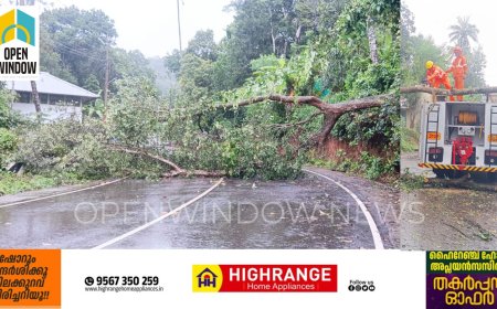 ​രാജാക്കാട് പുന്ന സിറ്റിക്ക് സമീപം മരം വീണ് ഗതാഗതം തടസ്സപ്പെട്ടു; അഗ്നിരക്ഷാ സേനയെത്തി റോഡ് ഗതാഗതം പുനസ്ഥാപിച്ചു.