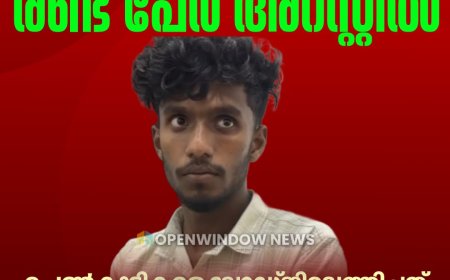 മൂന്നാറില്‍ പ്ലസ് ടു വിദ്യാര്‍ത്ഥിനികളെ പീഡിപ്പിച്ച കേസ്;  രണ്ട് പേര്‍ അറസ്റ്റില്‍
