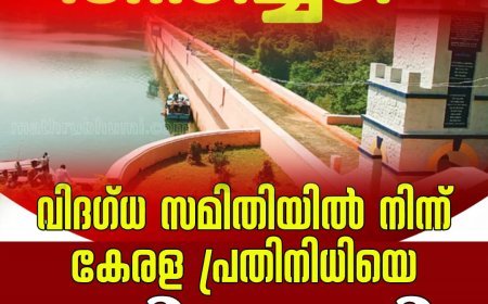 മുല്ലപ്പെരിയാറിൽ കേരളത്തിന് തിരിച്ചടി, വിദ​ഗ്ധ സമിതിയിൽ നിന്ന് കേരള പ്രതിനിധിയെ ഒഴിവാക്കി, പകരം യുപി സ്വദേശി