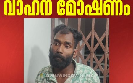 നെടുങ്കണ്ടത്തും പാമ്പാടുംപാറയിലും മണിക്കൂറുകളുടെ വ്യത്യാസത്തില്‍ വാഹന മോഷണം; പ്രതി പിടിയില്‍