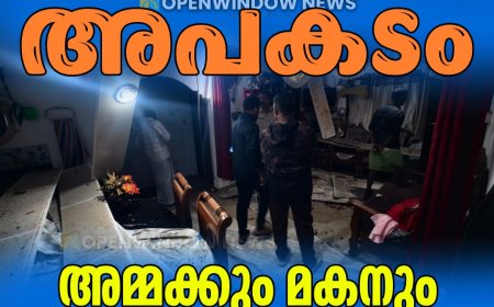 ഇടുക്കി കരിമ്പനിൽ ഗ്യാസ് സിലണ്ടറിൽ നിന്ന് തീ പടർന്ന് അപകടം.അമ്മയ്ക്കും മകനും ഗുരുതര പരുക്ക്