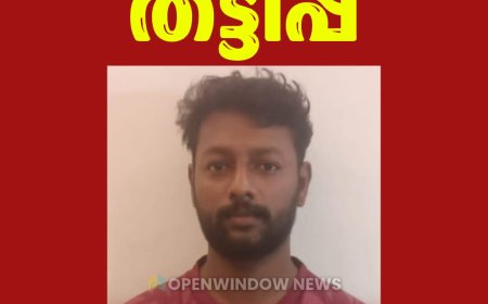 വിദേശത്ത് ജോലി വാഗ്ദാനം ചെയ്ത് തട്ടിപ്പ്; പ്രതിയെ വണ്ടിപ്പെരിയാര്‍ പോലീസ് പിടികൂടി