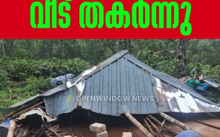 സൂര്യനെല്ലിയില്‍ കാട്ടാന  ആക്രമണം;  വീട് തകര്‍ന്നു