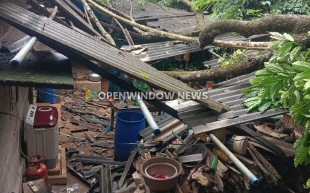മണിയാറന്‍കുടിയില്‍ ശക്തമായ മഴയില്‍ മരം കടപുഴകി വീണ് വീട് ഭാഗികമായി തകര്‍ന്നു