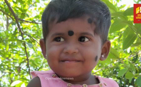 അയ്യപ്പൻകോവിലിൽ ജാർഖണ്ഡ് സ്വദേശികളായ അതിഥി തൊഴിലാളികളുടെ മകൾ മരിച്ചത്  പനി ബാധിച്ചെന്ന്  പ്രാഥമിക നിഗമനം.