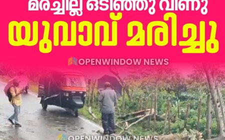 ഏലപ്പാറയിൽ ഇരുചക്ര വാഹനത്തിന് മുകളിലേക്ക് മരച്ചില്ല ഒടിഞ്ഞു വീണ്
 യുവാവ് മരിച്ചു.