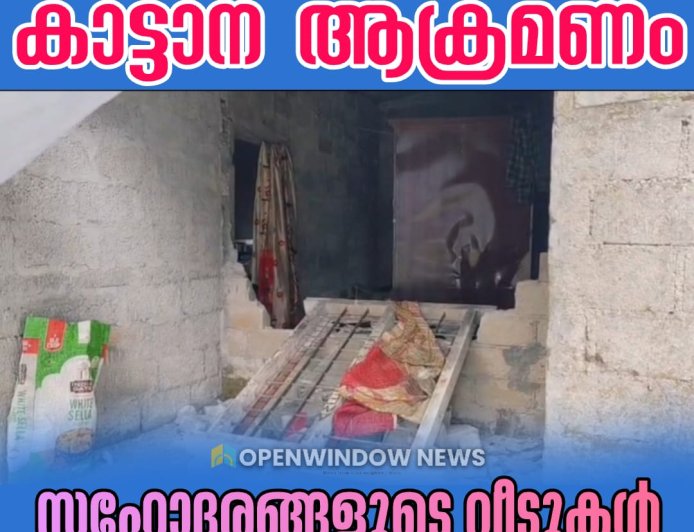 കഞ്ഞിക്കുഴി ചുരുളിപ്പതാലില്‍ കാട്ടാന ആക്രമണം; സഹോദരങ്ങളുടെ വീടുകള്‍ തകര്‍ത്തു.