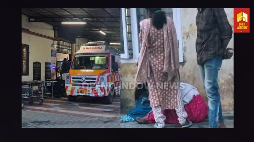 അടിമാലിയില്‍ വൈദ്യുതി ലൈനിന്റെ ടച്ച് വെട്ടുന്നതിനിടെ വൈദ്യുതാഘാതമേറ്റ് തൊഴിലാളി മരിച്ചു.