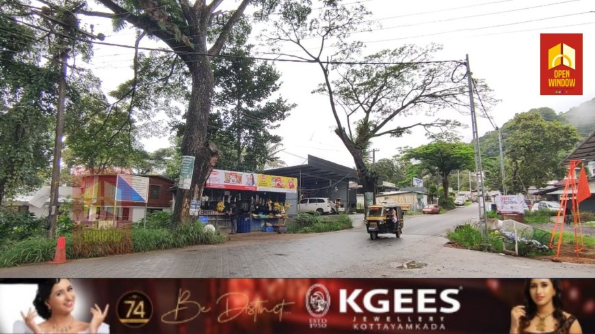 കട്ടപ്പന പാറക്കടവ് ജംഗ്ഷനിൽ സ്ഥിതിചെയ്യുന്ന വാകമരം പ്രദേശത്തെ വ്യാപാര സ്ഥാപനങ്ങൾക്കും കാൽനട വാഹന യാത്രികർക്കും അപകട ഭീഷണി സൃഷ്ടിക്കുന്നു