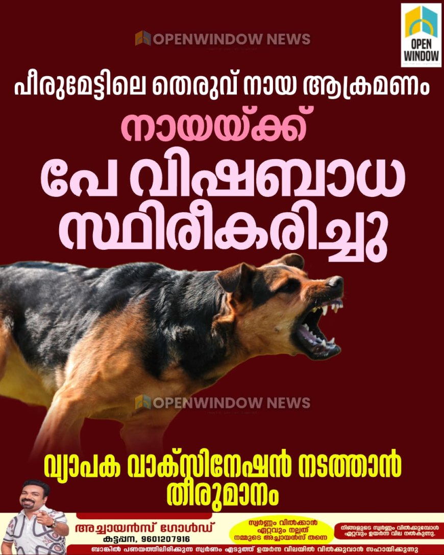 പീരുമേട്ടിൽ 19 പേരെ കടിച്ച തെരുവ് നായക്ക് പേ വിഷബാധ സ്ഥിരീകരിച്ചു