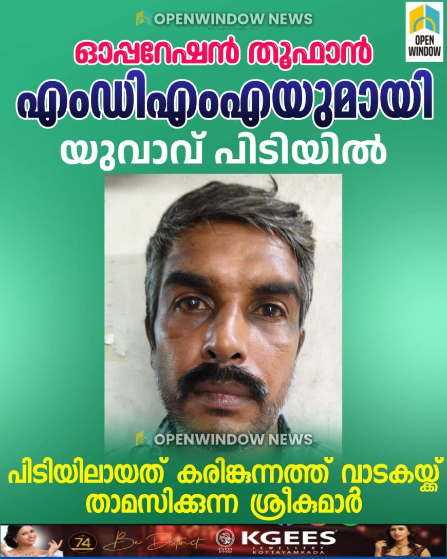 ഓപ്പറേഷന്‍ തൂഫാന്‍; കരിങ്കുന്നം കുഴിമറ്റത്ത് നിന്ന് നിരോധിത ലഹരി വസ്തുവുമായി യുവാവ് പിടിയില്‍