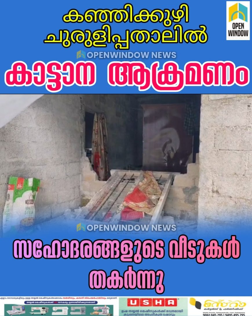 കഞ്ഞിക്കുഴി ചുരുളിപ്പതാലില്‍ കാട്ടാന ആക്രമണം; സഹോദരങ്ങളുടെ വീടുകള്‍ തകര്‍ത്തു.