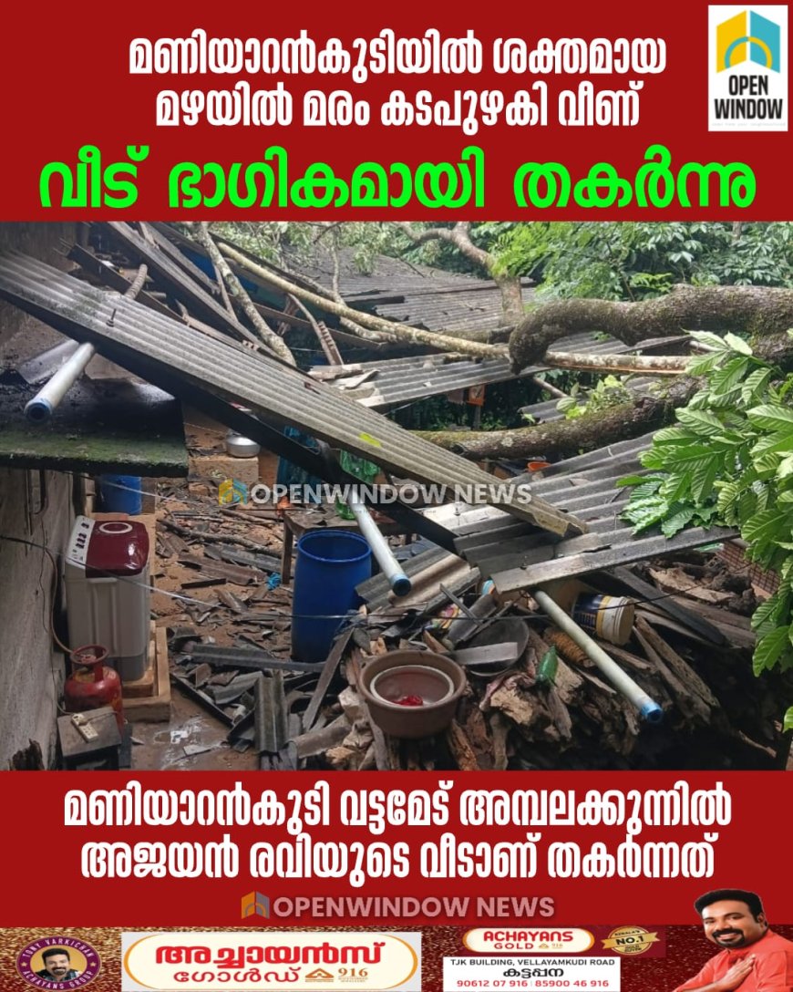 മണിയാറന്‍കുടിയില്‍ ശക്തമായ മഴയില്‍ മരം കടപുഴകി വീണ് വീട് ഭാഗികമായി തകര്‍ന്നു