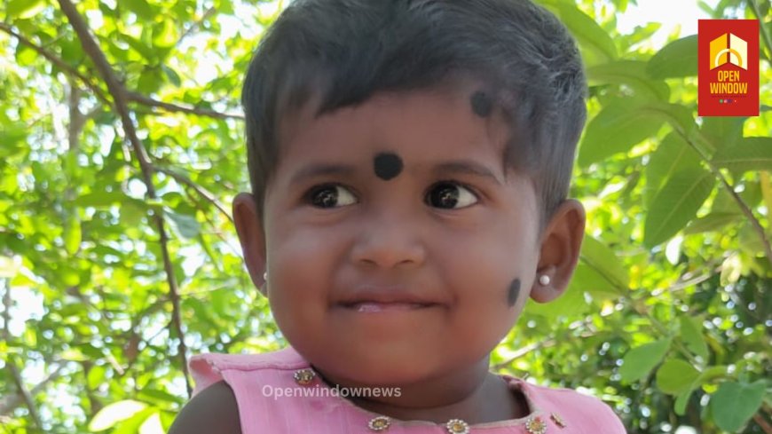 അയ്യപ്പൻകോവിലിൽ ജാർഖണ്ഡ് സ്വദേശികളായ അതിഥി തൊഴിലാളികളുടെ മകൾ മരിച്ചത്  പനി ബാധിച്ചെന്ന്  പ്രാഥമിക നിഗമനം.