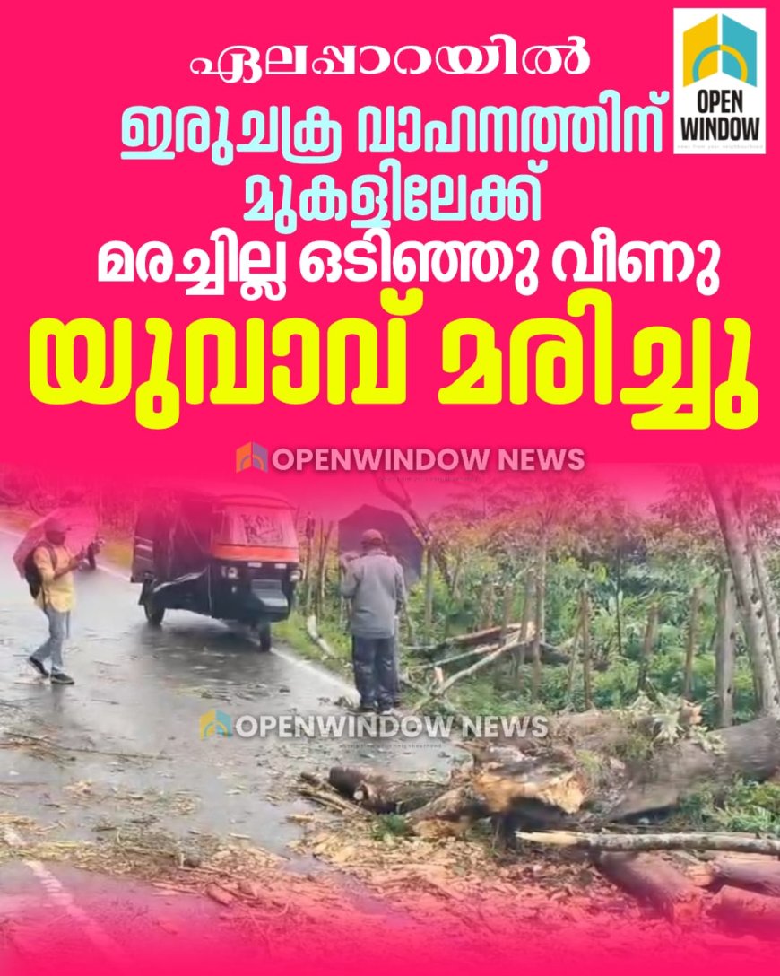 ഏലപ്പാറയിൽ ഇരുചക്ര വാഹനത്തിന് മുകളിലേക്ക് മരച്ചില്ല ഒടിഞ്ഞു വീണ്
 യുവാവ് മരിച്ചു.