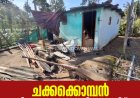 ചിന്നക്കനാലിൽ വീണ്ടും കാട്ടാന ആക്രമണം; വീട് ഭാഗികമായി തകർന്നു