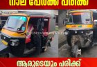 വാഴത്തോപ്പില്‍ ഓട്ടോറിക്ഷകള്‍ തമ്മില്‍ കൂട്ടിയിടിച്ചു; നാല് പേര്‍ക്ക് പരിക്ക്