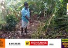 കാട്ടാനക്കൂട്ടം ഉൾവനത്തിലേക്ക് പോകാൻ തയ്യാറാകുന്നില്ല ജനവാസ മേഖലയിൽ ഭീതിപരത്തി കാട്ടാനക്കൂട്ടം