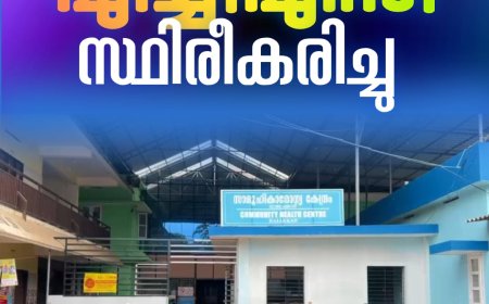 രാജാക്കാട് പഞ്ചായത്തിൽ എച്ച്1എൻ1 പനി സ്ഥിരീകരിച്ചു;  പ്രദേശത്ത് അതീവ ജാഗ്രതാ നിർദേശം