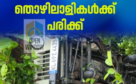 ശാന്തൻപാറയിൽ ജീപ്പ് അപകടം; നിരവധി തോട്ടം തൊഴിലാളികൾക്ക് പരിക്ക്