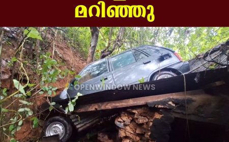 അടിമാലിക്ക് സമീപം കാര്‍ താഴ്ച്ചയിലേക്ക് മറിഞ്ഞ് അപകടം; ഒരാള്‍ക്ക് പരിക്ക്