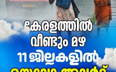 സംസ്ഥാനത്ത് മഴ ശക്തം;11 ജില്ലകളിൽ യെല്ലോ അലർട്ട്