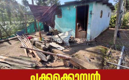 ചിന്നക്കനാലിൽ വീണ്ടും കാട്ടാന ആക്രമണം; വീട് ഭാഗികമായി തകർന്നു