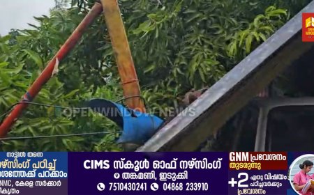 ശക്തമായ കാറ്റിൽ വീടിന് മുകളിലേക്ക് മരം ഒടിഞ്ഞ് വീണു. കട്ടപ്പന പുഞ്ചിരിക്ക
വലയിൽ  മാരിപ്പറമ്പിൽ ലില്ലിക്കുട്ടിയുടെ വീടിന് സമീപം നിന്ന മാവാണ് ഒടിഞ്ഞ് വീണത്.