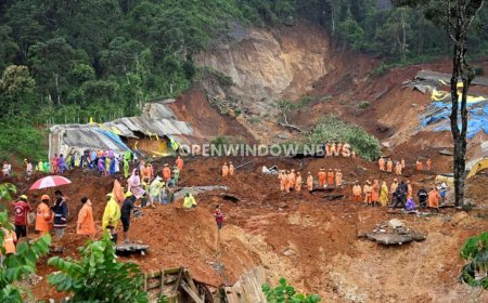 കളളാടി മണ്ണിടിച്ചില്‍ ദുരന്തം; ഇരട്ട അന്വേഷണം പ്രഖ്യാപിച്ച് സര്‍ക്കാര്‍