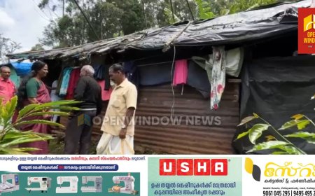സിങ്കുകണ്ടത്ത് കാട്ടാന ആക്രമണത്തില്‍ കൊല്ലപ്പെട്ട മാരിയുടെ വീട്ടില്‍ മോഷണം; ഭൂമിയുടെ രേഖകളും വീട്ടുപകരണങ്ങളും കുട്ടികളുടെ വസ്ത്രങ്ങളും നഷ്ടപ്പെട്ടു