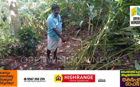 കാട്ടാനക്കൂട്ടം ഉൾവനത്തിലേക്ക് പോകാൻ തയ്യാറാകുന്നില്ല ജനവാസ മേഖലയിൽ ഭീതിപരത്തി കാട്ടാനക്കൂട്ടം