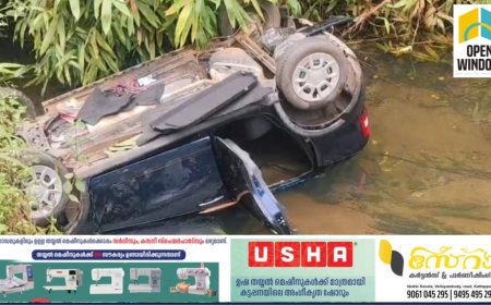 പഴയരിക്കണ്ടത്ത് നിയന്ത്രണം നഷ്ടപ്പെട്ട കാർ പുഴയിലേക്ക് മറിഞ്ഞു; 5 പേർക്ക് പരിക്ക്