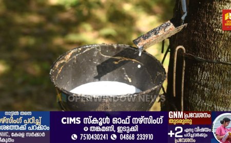 റബറിന്‍റെ താങ്ങുവില 250 രൂപയായി വർദ്ധിപ്പിച്ചു. 200 രൂപയിൽ നിന്ന് 250 രൂപ ആയിട്ടാണ് വർദ്ധിപ്പിച്ചത്.