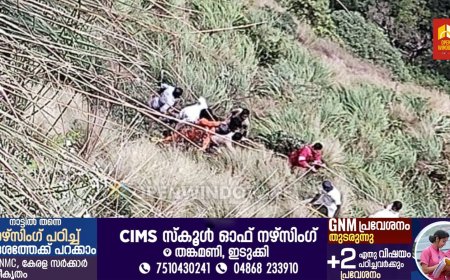 മൂന്നാര്‍ കൊളുക്കുമലയില്‍ കൊക്കയില്‍ വീണ യുവാവിനെ രക്ഷപെടുത്തി;  അപകടത്തില്‍പെട്ടത് ചെന്നൈ സ്വദേശി കാര്‍ത്തിക്
