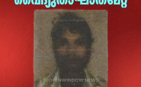 ഇടുക്കിയിൽ മീൻ പിടിക്കുന്നതിനിടെ വൈദ്യുതാഘാതമേറ്റ് അതിഥി തൊഴിലാളി മരിച്ചു; ഒരാൾക്ക് പരിക്ക്