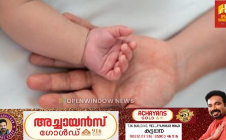 കോട്ടയത്തെ ശിശുക്കടത്ത് സംഭവം; ആറുമാസം മുമ്പ് തൊടുപുഴയിലും വില്‍പ്പന നടന്നു