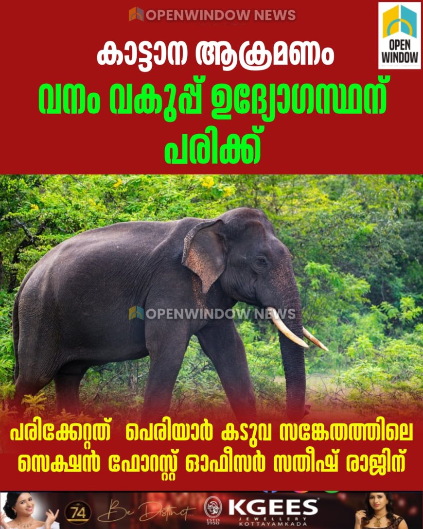 കാട്ടാന ആക്രമണത്തില്‍ വനം വകുപ്പ് ഉദ്യോഗസ്ഥന് പരിക്ക്.