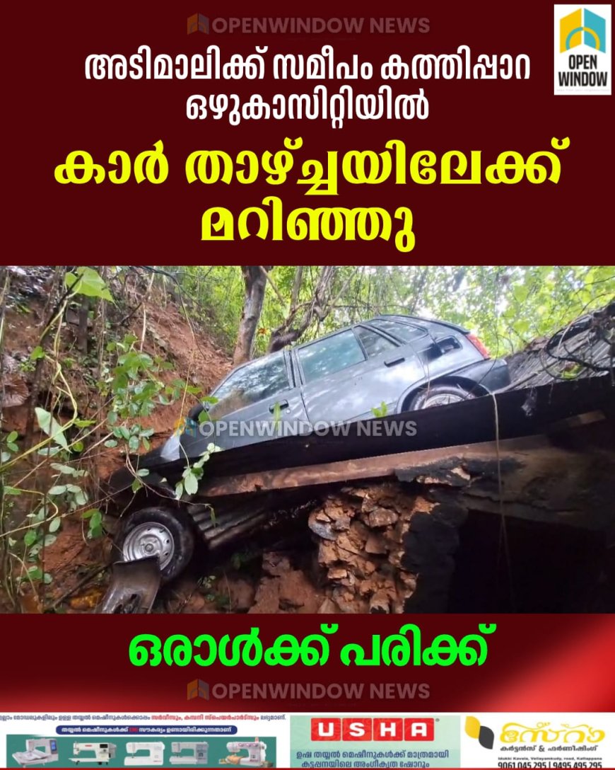 അടിമാലിക്ക് സമീപം കാര്‍ താഴ്ച്ചയിലേക്ക് മറിഞ്ഞ് അപകടം; ഒരാള്‍ക്ക് പരിക്ക്