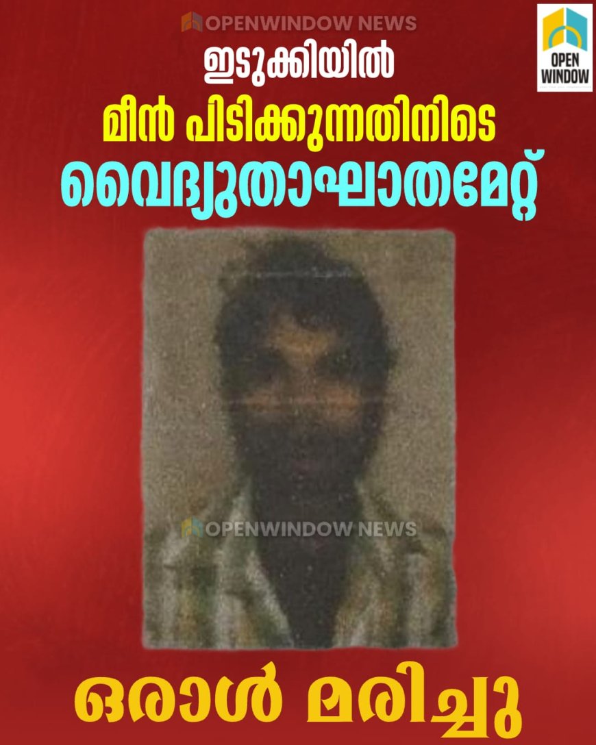 ഇടുക്കിയിൽ മീൻ പിടിക്കുന്നതിനിടെ വൈദ്യുതാഘാതമേറ്റ് അതിഥി തൊഴിലാളി മരിച്ചു; ഒരാൾക്ക് പരിക്ക്