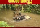 ഇടുക്കി ഉപ്പുതോട്ടില്‍ ഓട്ടോറിക്ഷ തോട്ടിലേക്ക് മറിഞ്ഞ് ഒരാള്‍ മരിച്ചു; മരിച്ചത് ഓട്ടോ ഡ്രൈവര്‍ ഉപ്പുതോട് സ്വദേശി വാളനാംകുഴിയില്‍ ബെന്നി