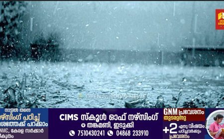 കനത്ത മഴ; നേര്യമംഗലം മുതല്‍ അടിമാലി വരെ ഗതാഗതം പൂര്‍ണമായി നിരോധിച്ചു