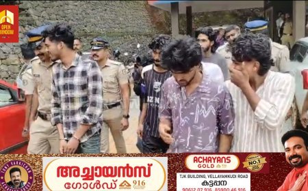 ഇടുക്കിയില്‍ വന്‍ കഞ്ചാവ് വേട്ട;  8 കിലോ കഞ്ചാവുമായി 7 യുവാക്കള്‍ തങ്കമണി പോലീസിന്റെ പിടിയില്‍